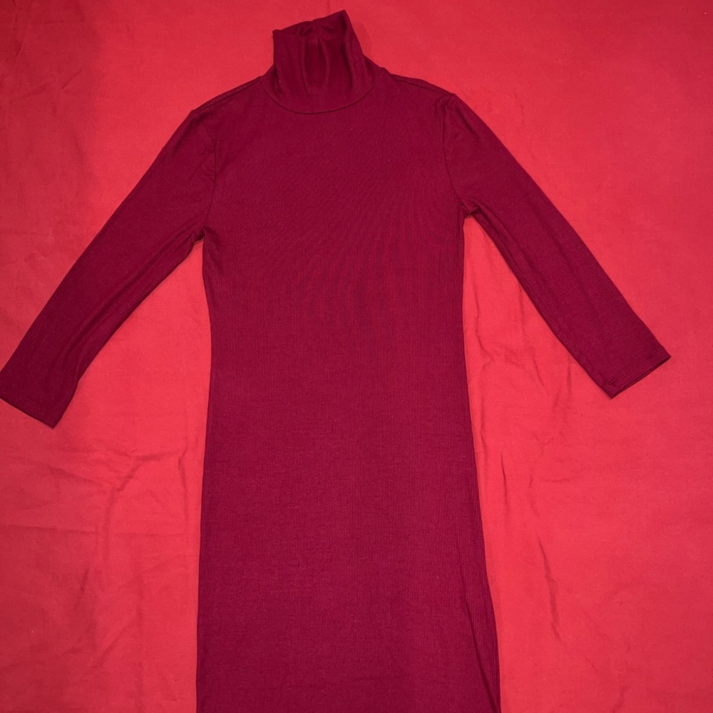 Forever 21 Burgundy Turtle Neck Knit Maxi Dress
